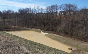 SWM Pond 4 028
